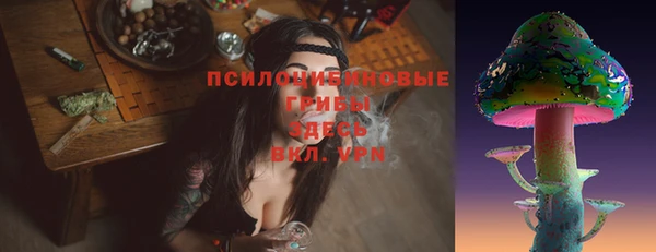 ГАЛЛЮЦИНОГЕННЫЕ ГРИБЫ Богородицк