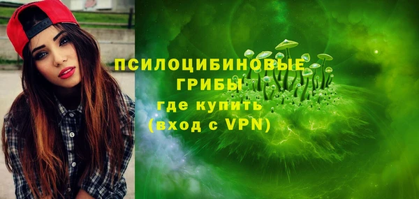 первитин Богородск