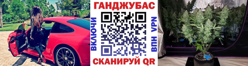 где найти   Городище  Бошки Шишки гибрид 